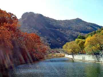 新澳天天开奖资料大全旅游团，神墓后传